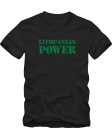 Lithuanian power